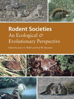 cover image of Rodent Societies